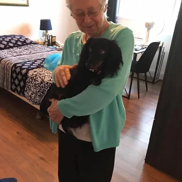 ba2cd3_60050c0ff80e43a8a33eb5f885df396b~mv2