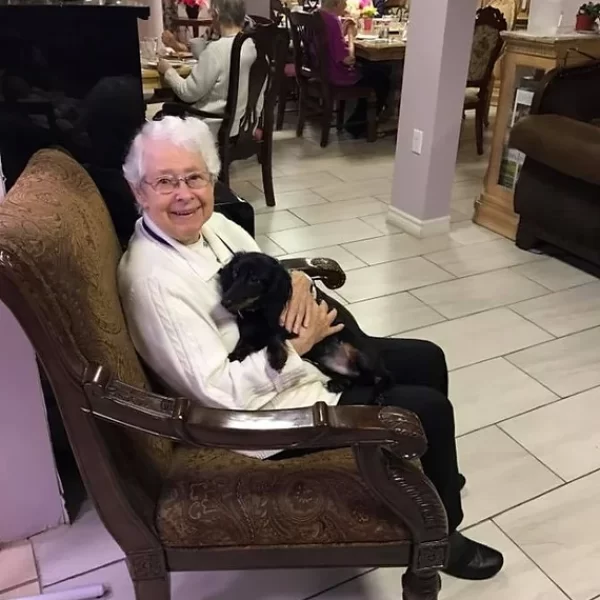 ba2cd3_b5d2808ca6424fbdabb441af0e57a97b~mv2